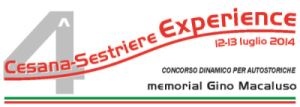 ceseexperience2014logo